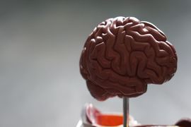 Neurociencia-Aplicada-a-Educacao