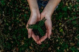 Responsabilidade-Socioambiental-como-Pratica-de-Sustentabilidade