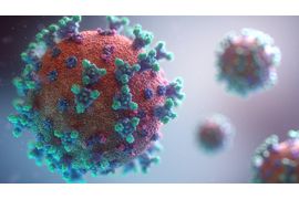 Coronavirus--Diagnostico-e-Prevencao