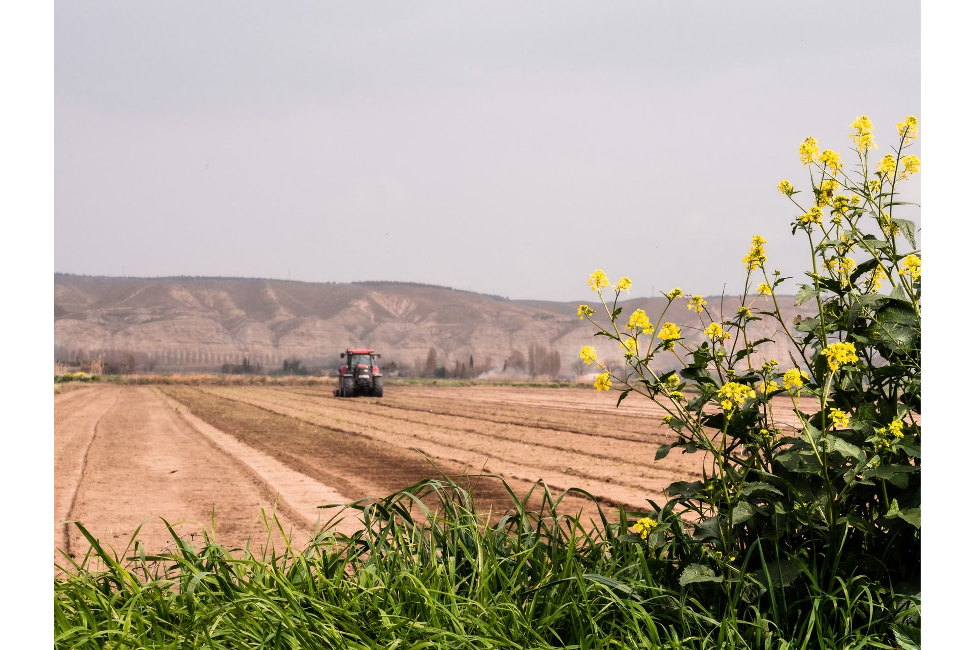 desafios-do-agronegocio-em-um-mundo-globalizado