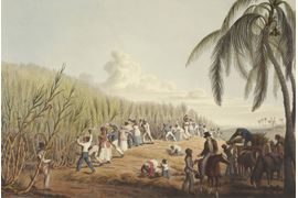 Escravidao-Indigena-e-Presenca-Jesuitica-no-Brasil-