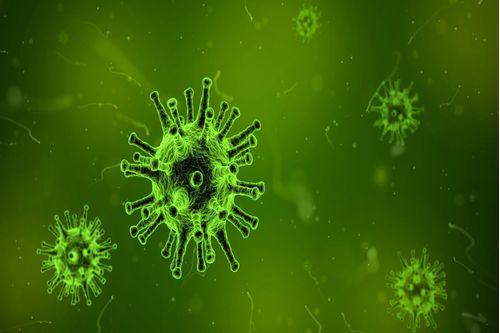 Microbiologia-Evolucao-e-Analise-de-Risco-Alimentar