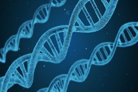 Aplicacoes-Tecnicas-para-o-Melhoramento-Genetico