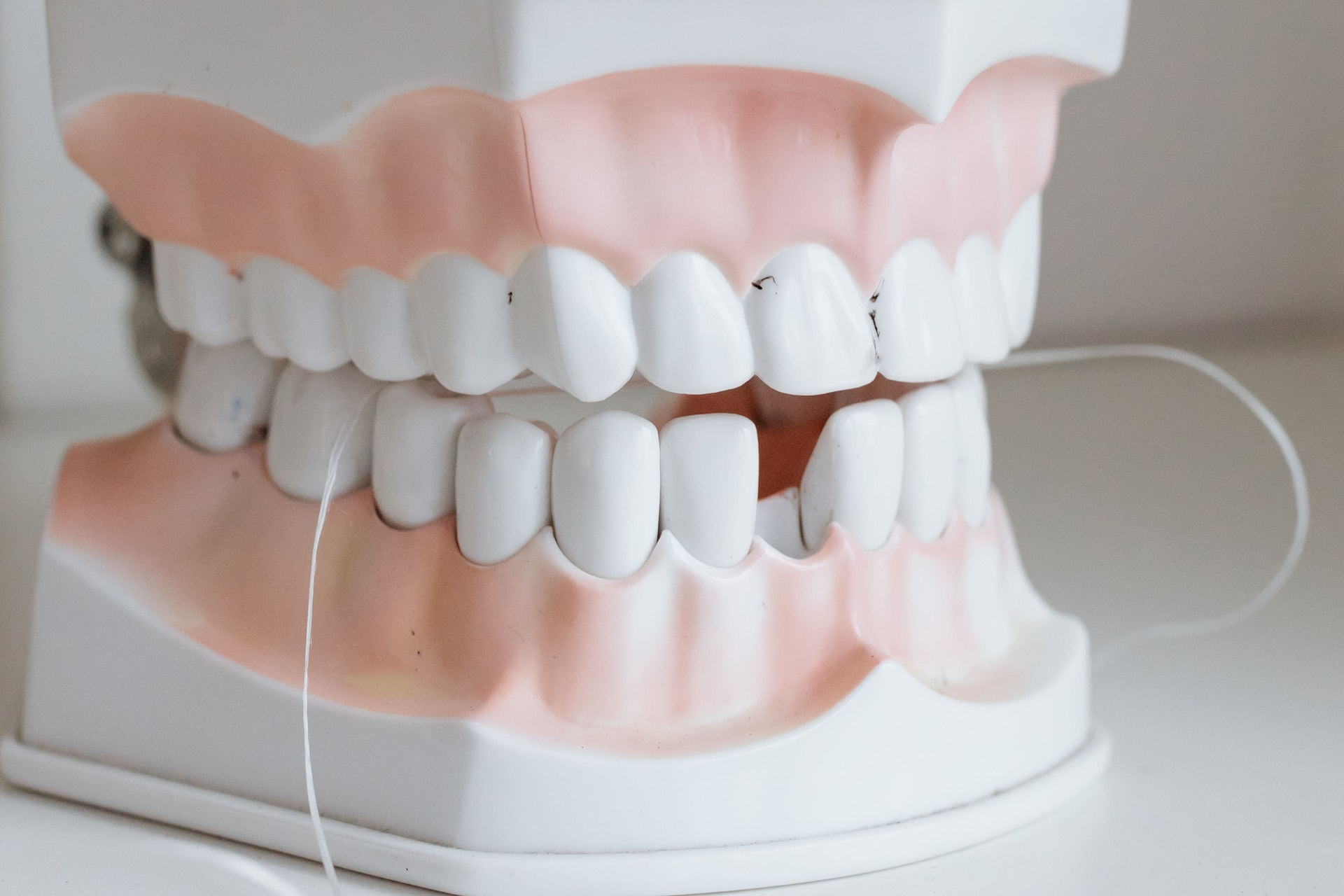 Sistema-Dental--Estrutura-e-Unidades-Biologicas