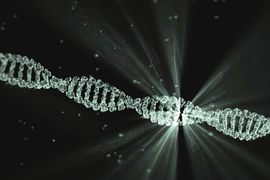 Estrutura-Nuclear--DNA-Genes-e-Cromossomos