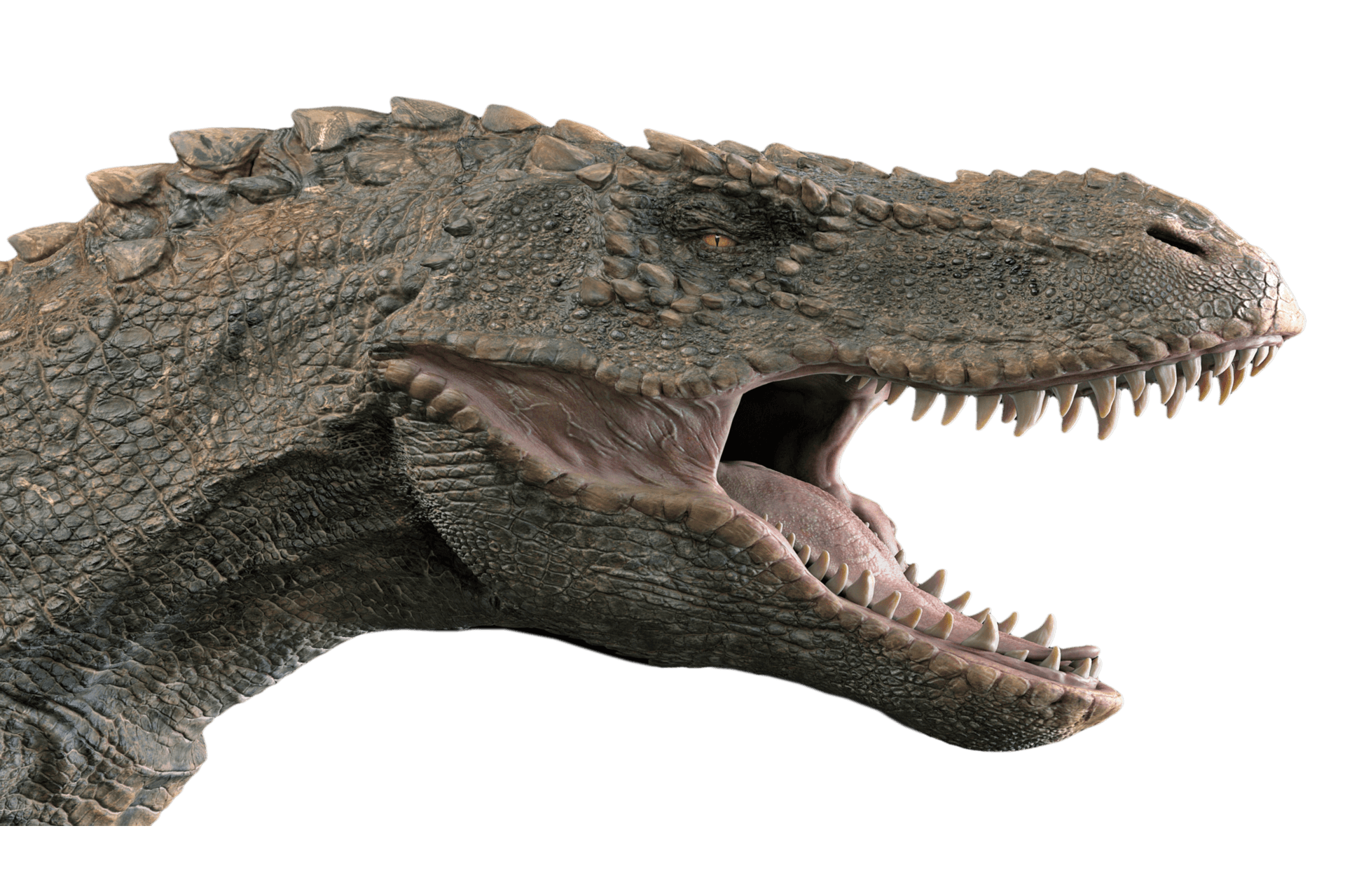 Impactos-Evolutivos-da-Extincao-dos-Dinossauros