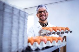 Cadeia-Produtiva-e-Gastronomica-de-Aves-e-Ovos