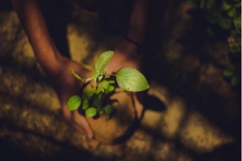 enviroment