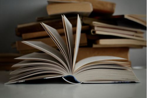 linguistica-aplicada-linha-de-ensino-do-portugues