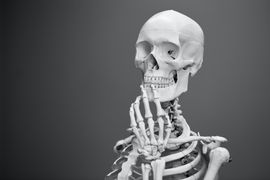 sistema-esqueletico-anatomia-na-parte-axial