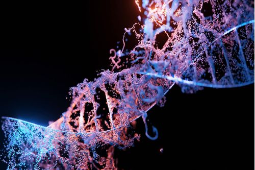 bases-da-hereditariedade-acidos-nucleicos-e-rna