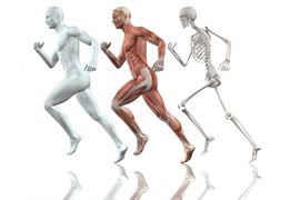 human-body-running