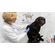 medium-shot-doctor-holding-dog-s-paw--1---1-