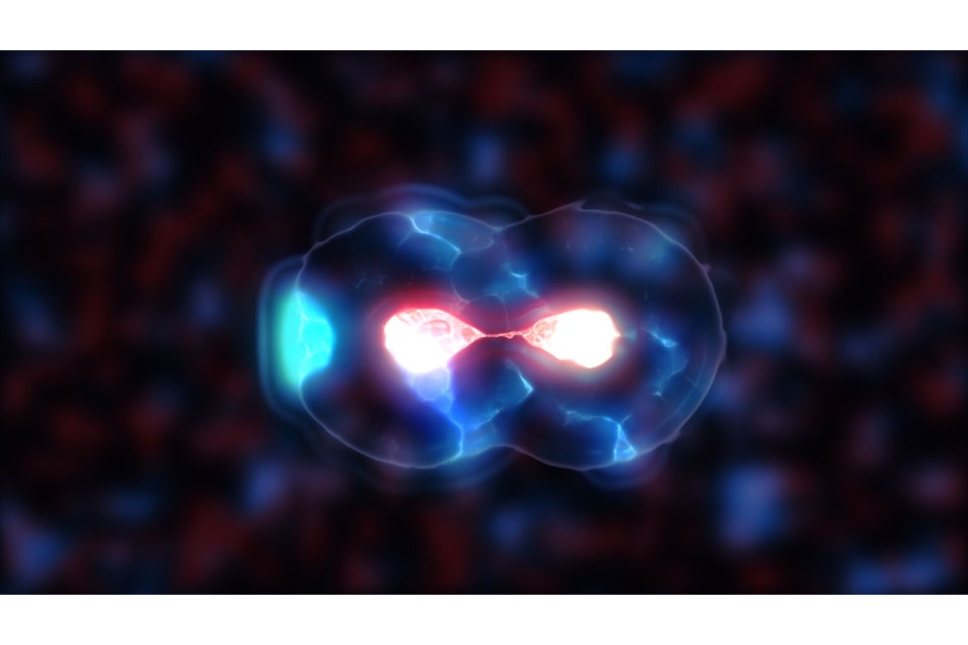 cell-division-generic-cell-dividing-with-copy-spa-2023-11-27-05-15-40-utc--1-