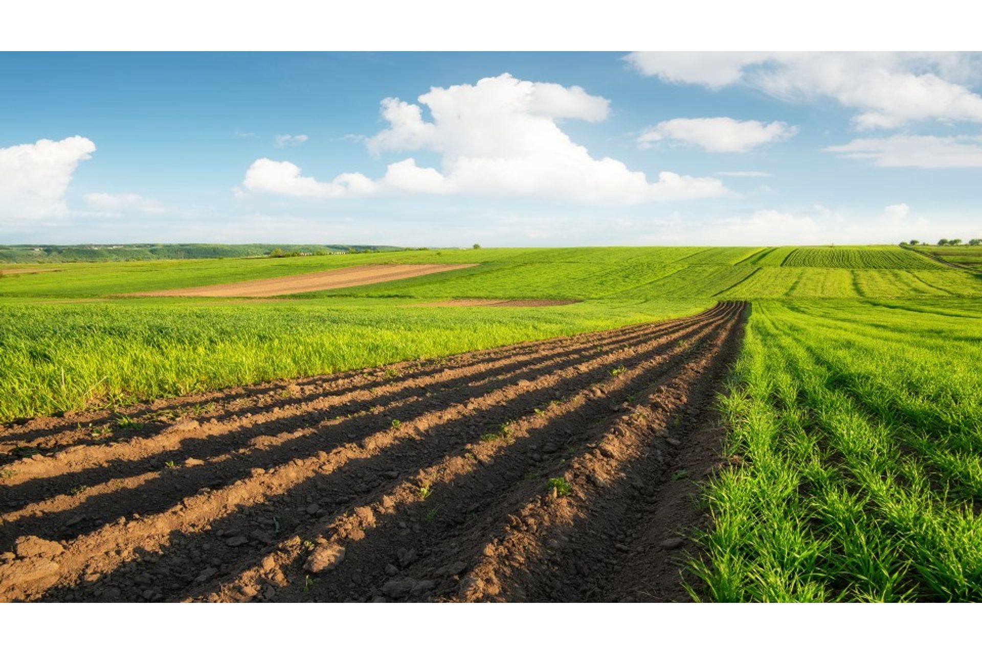 agricultural-landscape-2024-02-19-15-24-16-utc--1-