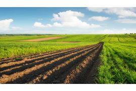 agricultural-landscape-2024-02-19-15-24-16-utc--1-