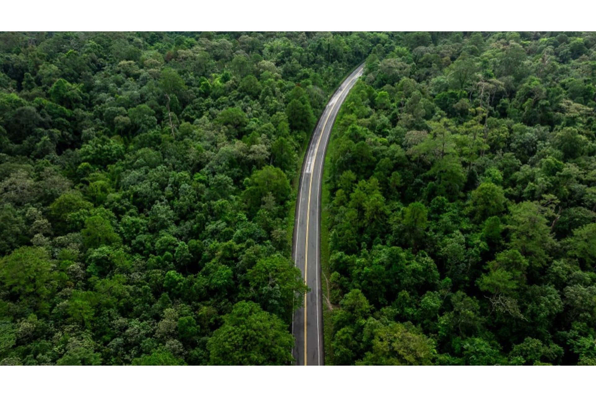 Estrutura-e-Funcionamento-de-Ecossistemas-e-Biomas