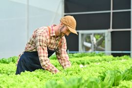 Desenvolvimento-do-Trabalho-em-Grupo-em-Agronegocio