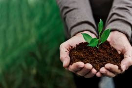 Gerenciamento-de-Unidades-de-Conservacao