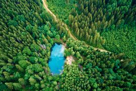 aerial-view-of-blue-colored-forest-lake-in-poland-2023-11-27-05-27-50-utc--1--min