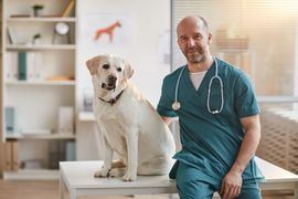 male-veterinarian-posing-with-dog-at-vet-clinic-2023-11-27-05-21-15-utc--1-