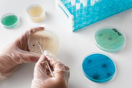 2149132693-microbiologia-e-bacterologia-clinica