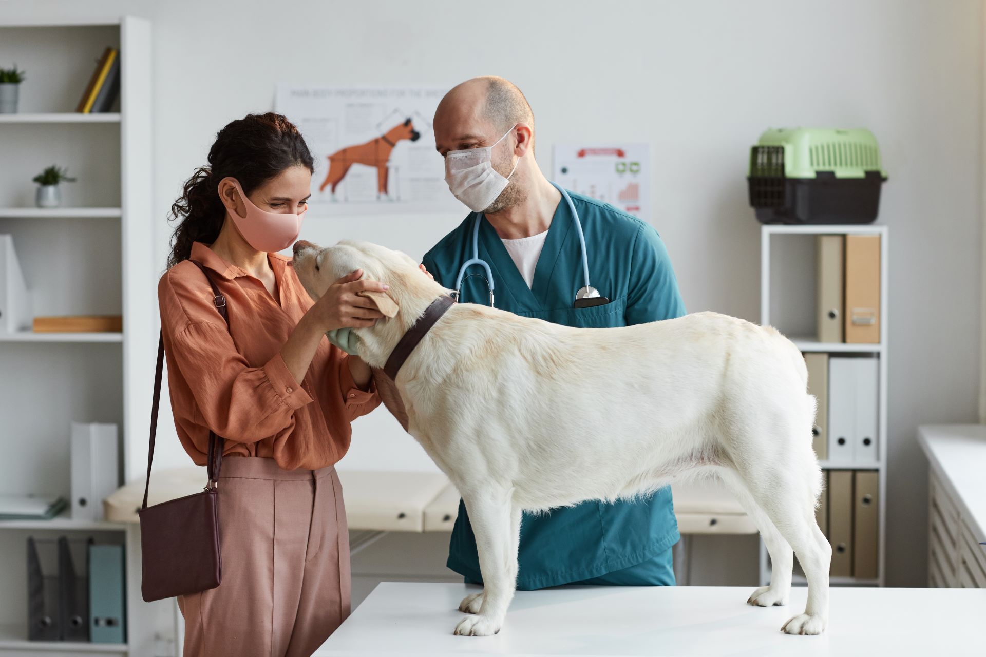 Prevencao-e-Tratamento-de-Viroses-em-Animais