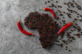 Culinaria-Sul-Africana-Caracteristicas-e-Influencias