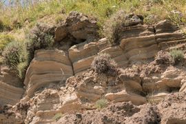 geological-leyers-of-yellow-sandstone-in-ischia-2023-11-27-04-57-07-utc--1-.jpg