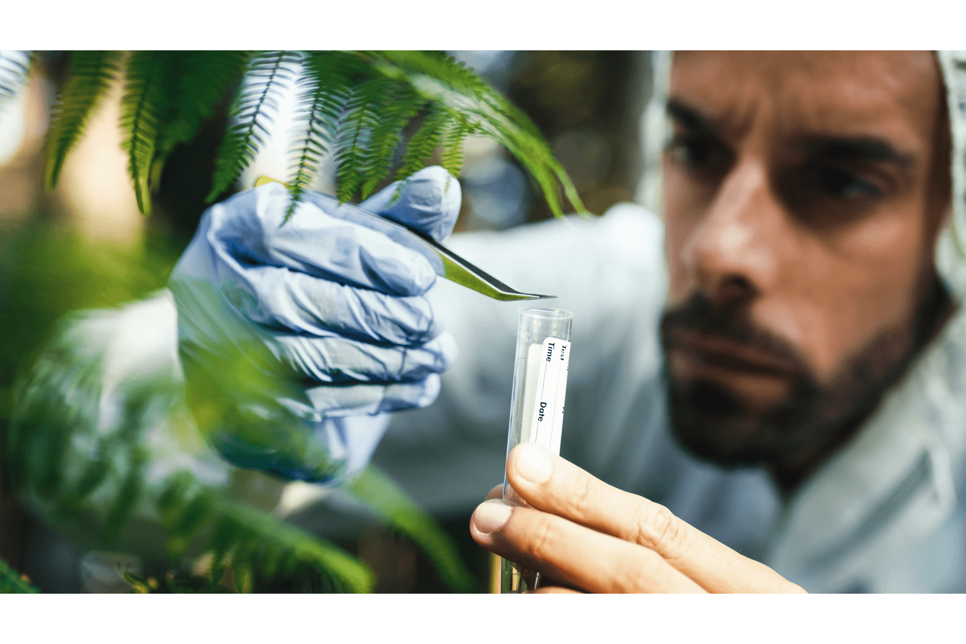 Fotossíntese: Importância e Processos Bioquímicos