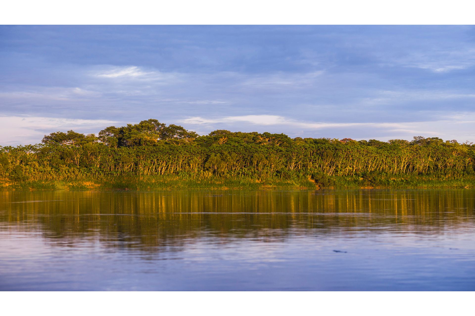 O Estudo do Ecossistema: Complexidade e Biodiversidade