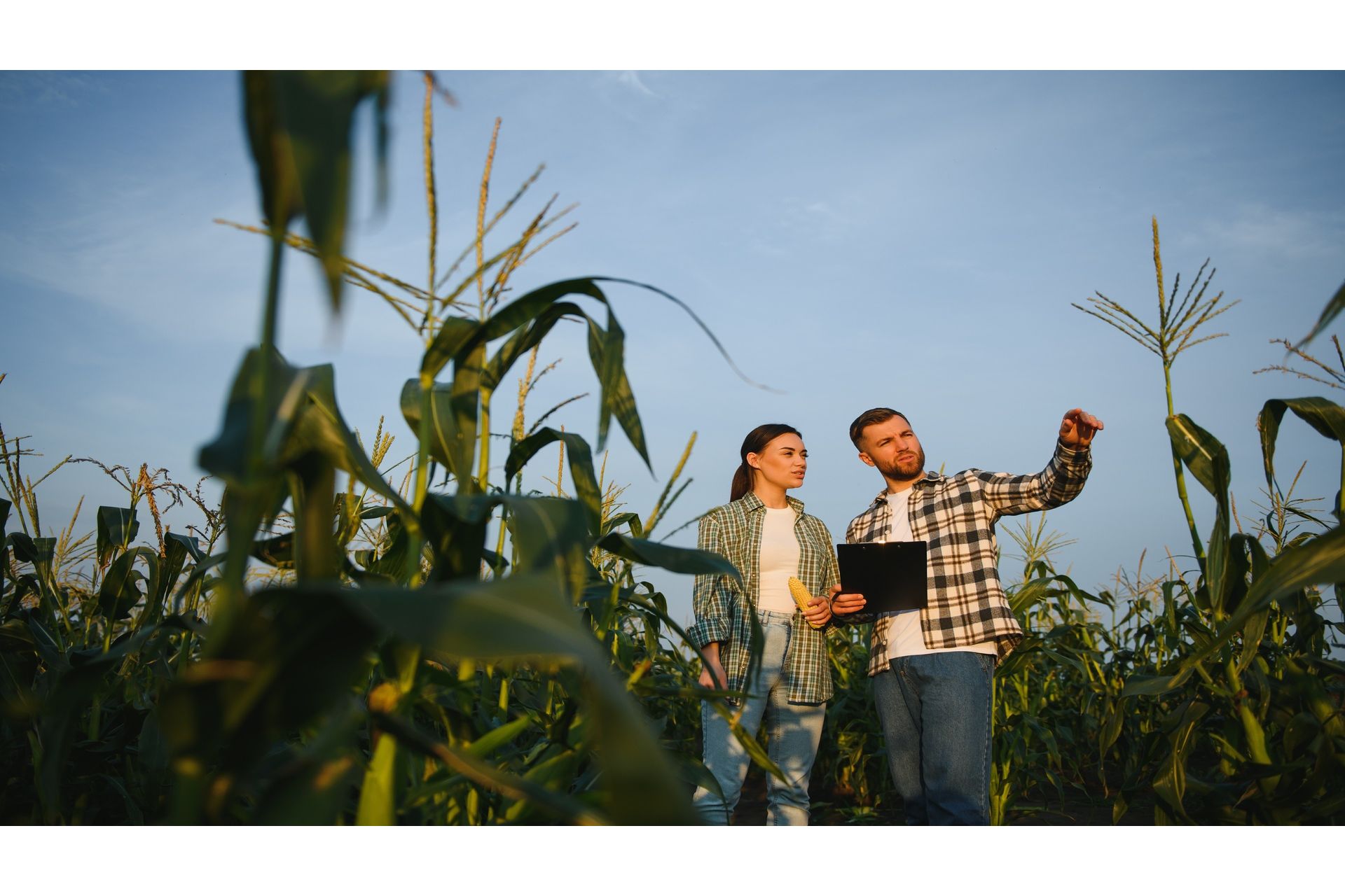 Agronegócio Sustentável: Planejamento Participativo