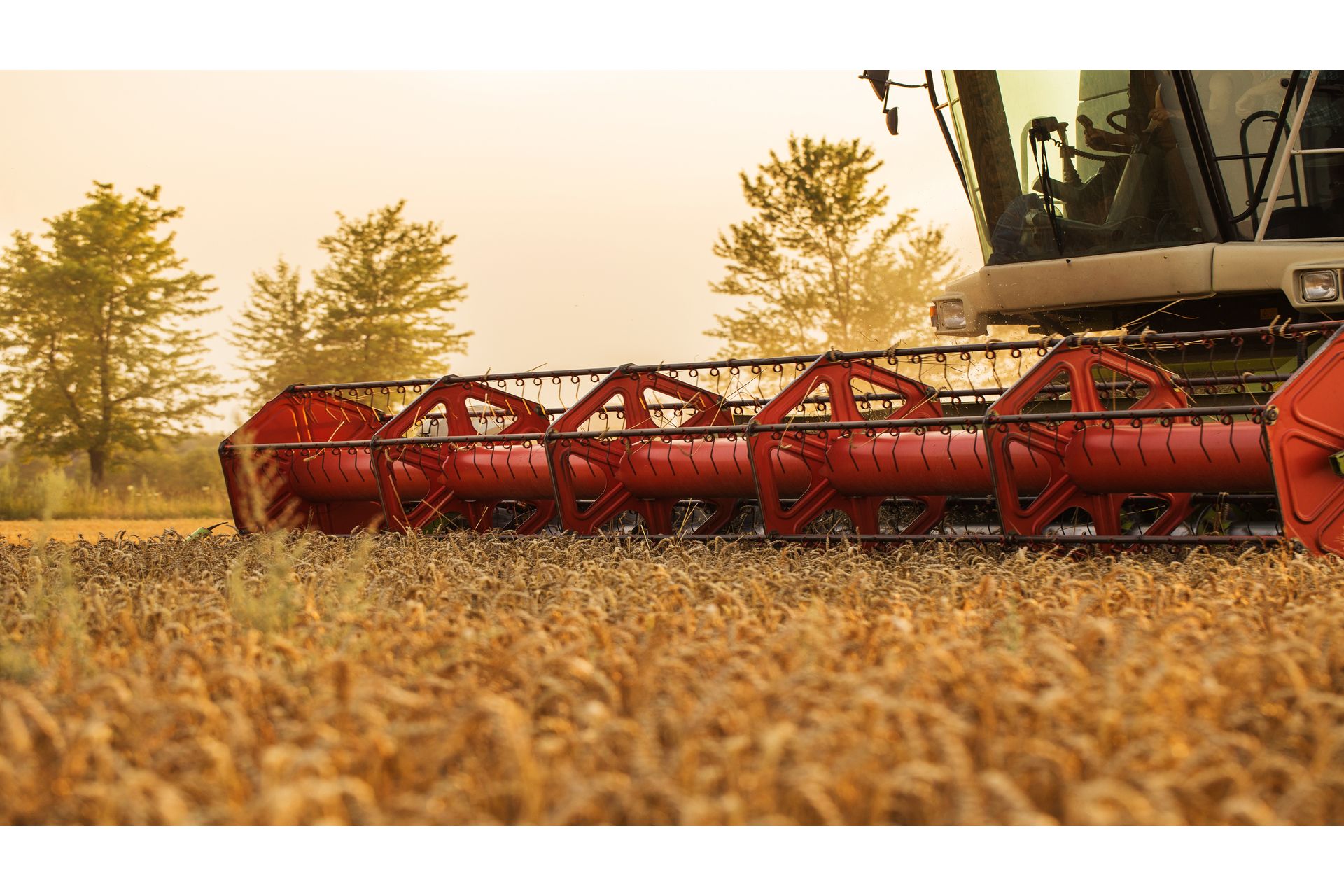 Agronegócio Brasileiro: Evolução e Cadeias Produtivas