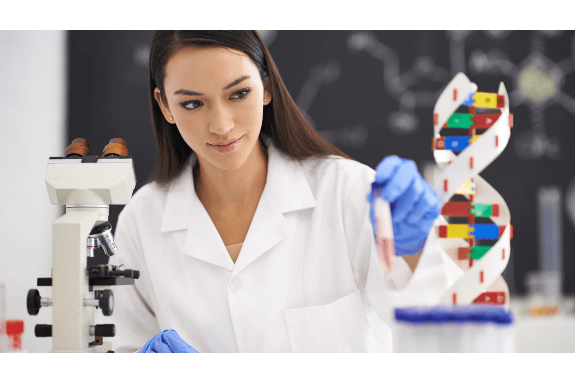 Citologia e Hereditariedade: Cromossomos e Mitose