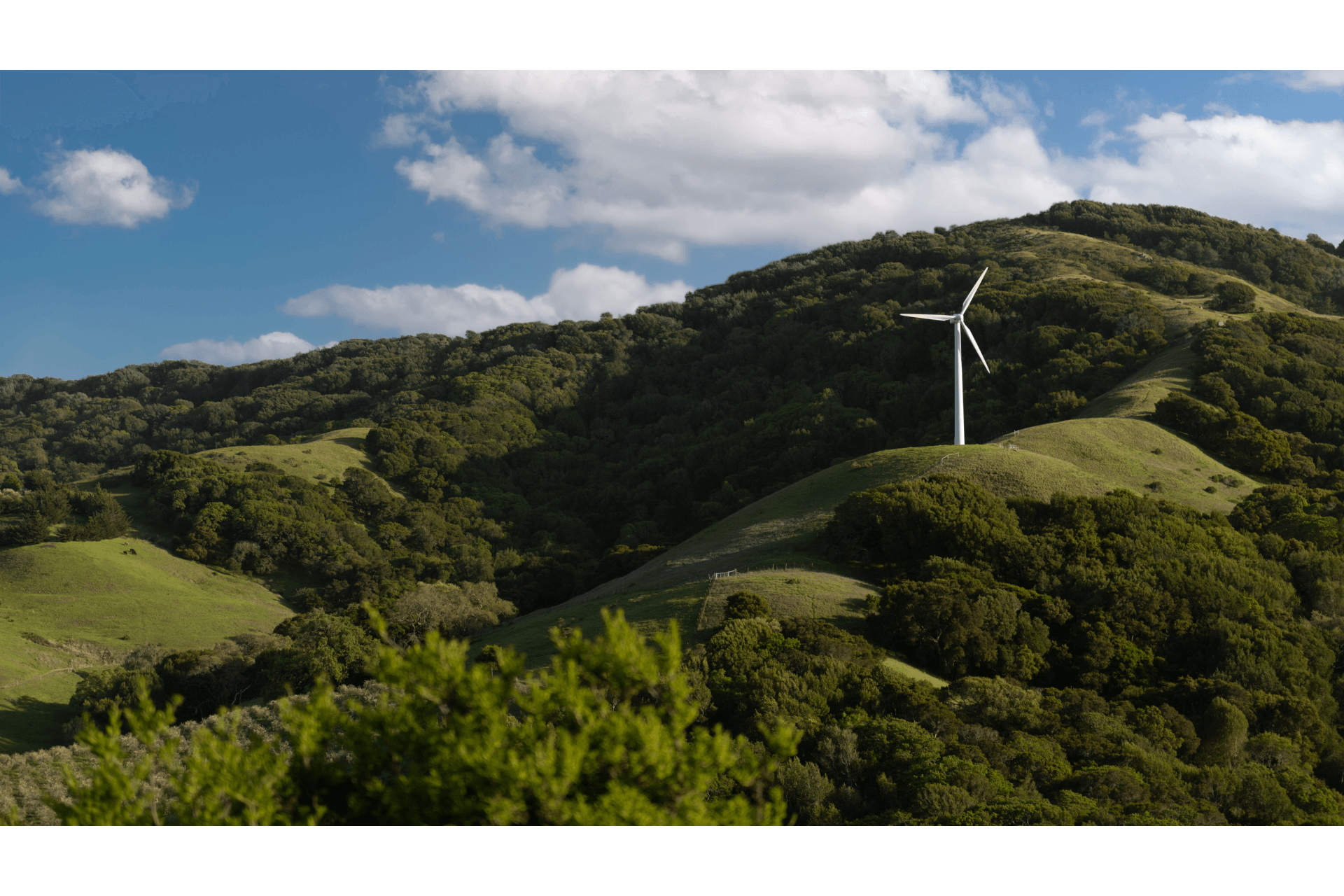 Sustentabilidade: Energias Limpas e Vegetação