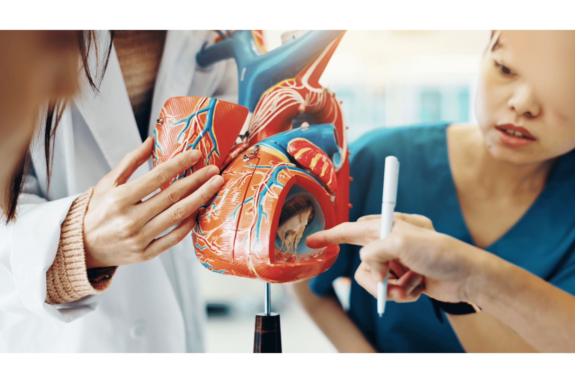 Infecções Cardiovasculares e Resistência Bacteriana