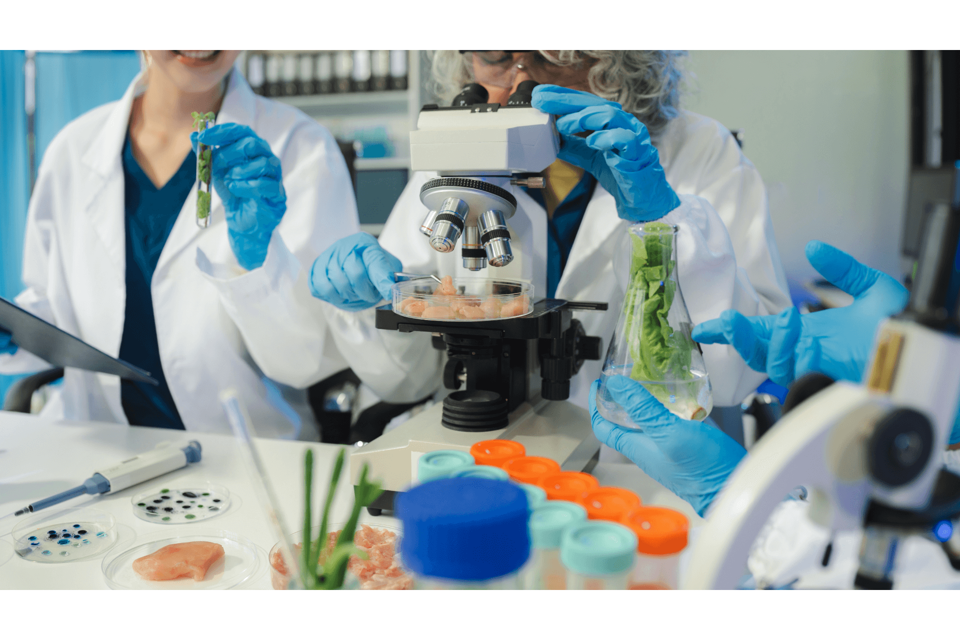 Microbiologia Clínica: Bactéria Fastidiosa e Qualidade