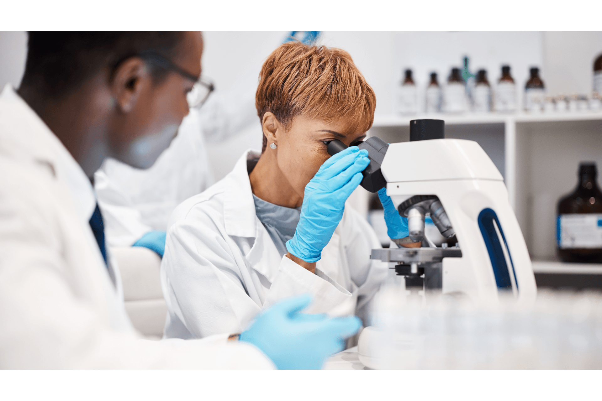 Estrutura das Proteínas e Funções no Organismo