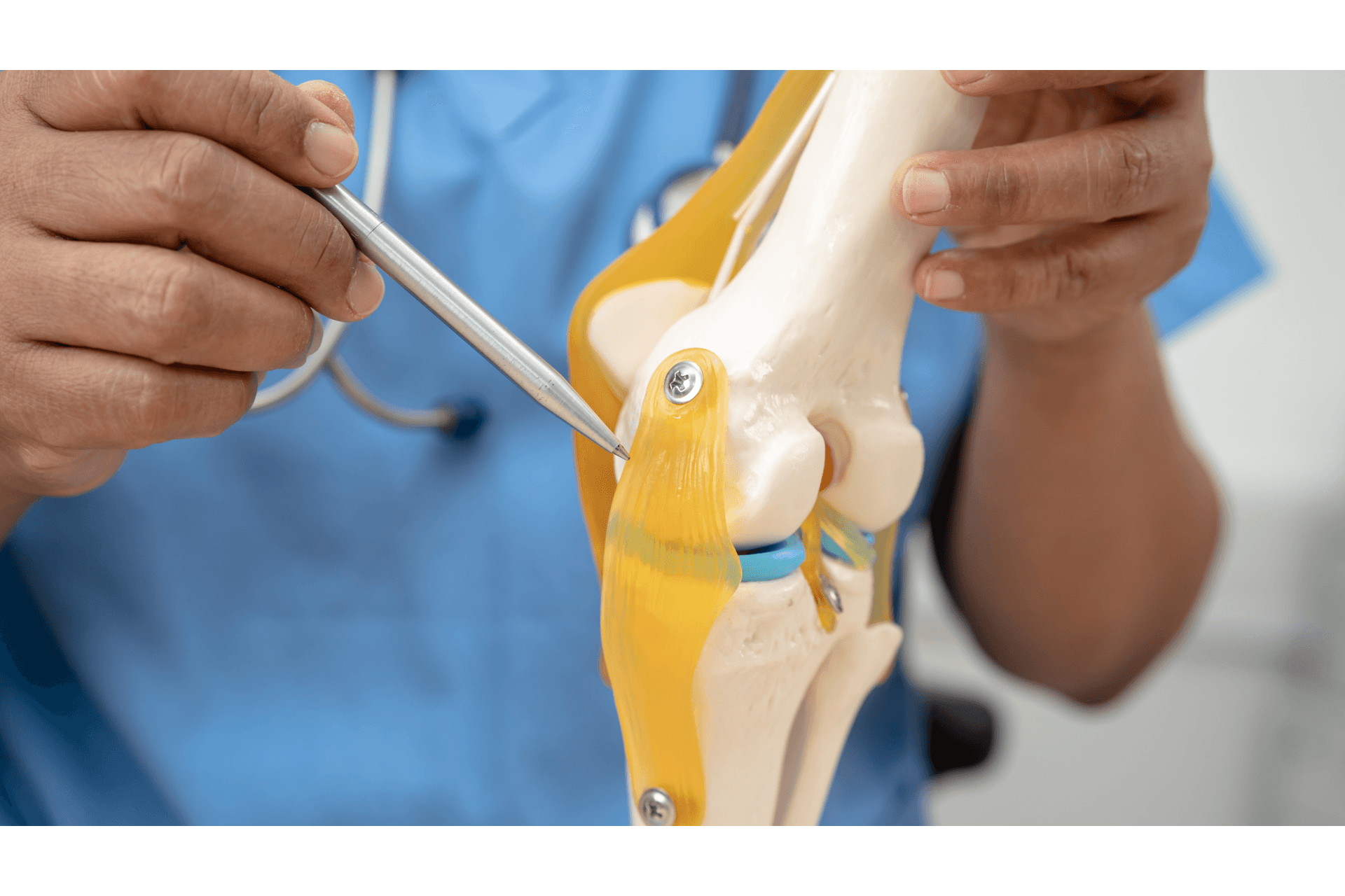 Sistema Articular: Funções, Conexões e Movimentos