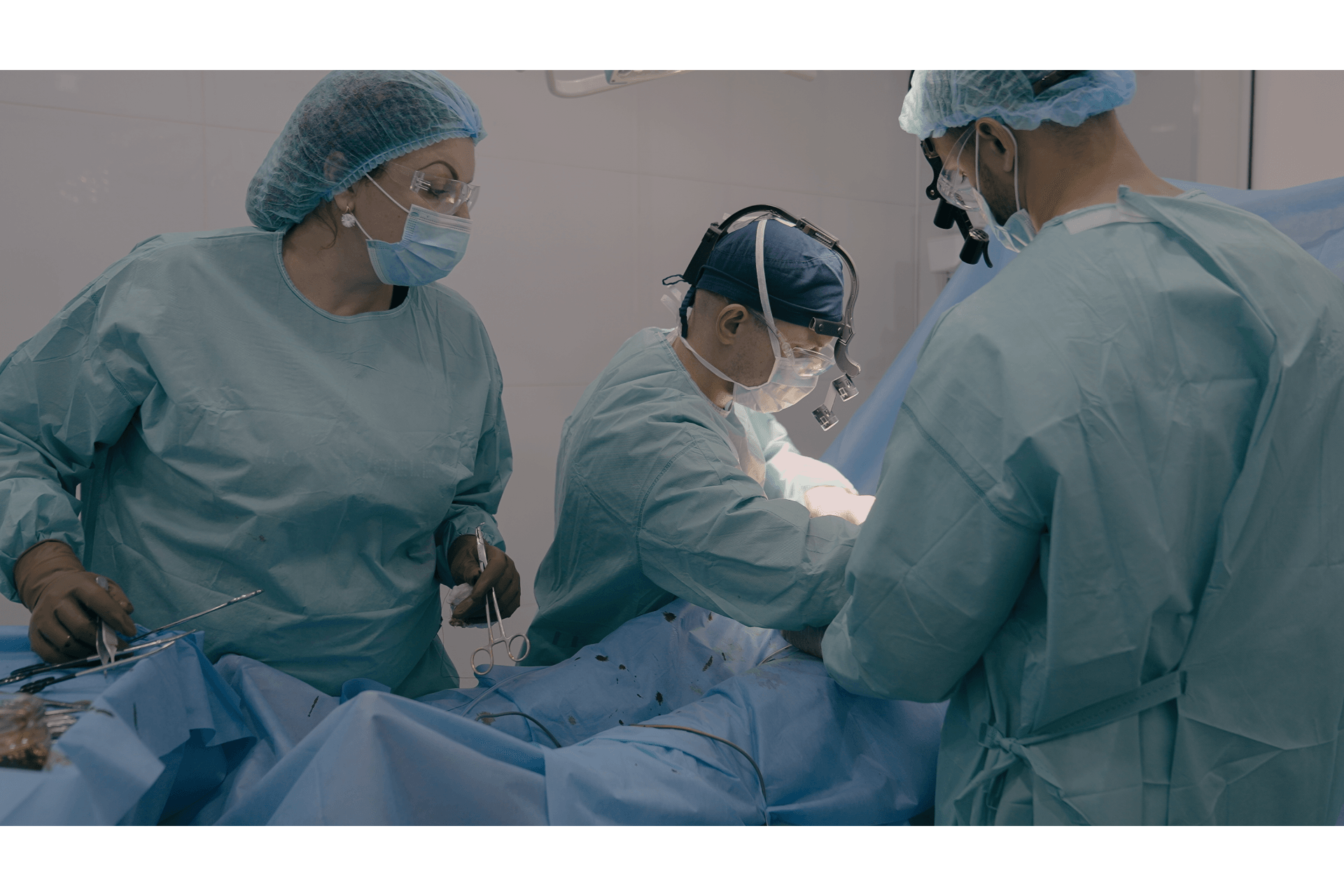 Transplante de Medula e Laudo Hematológico