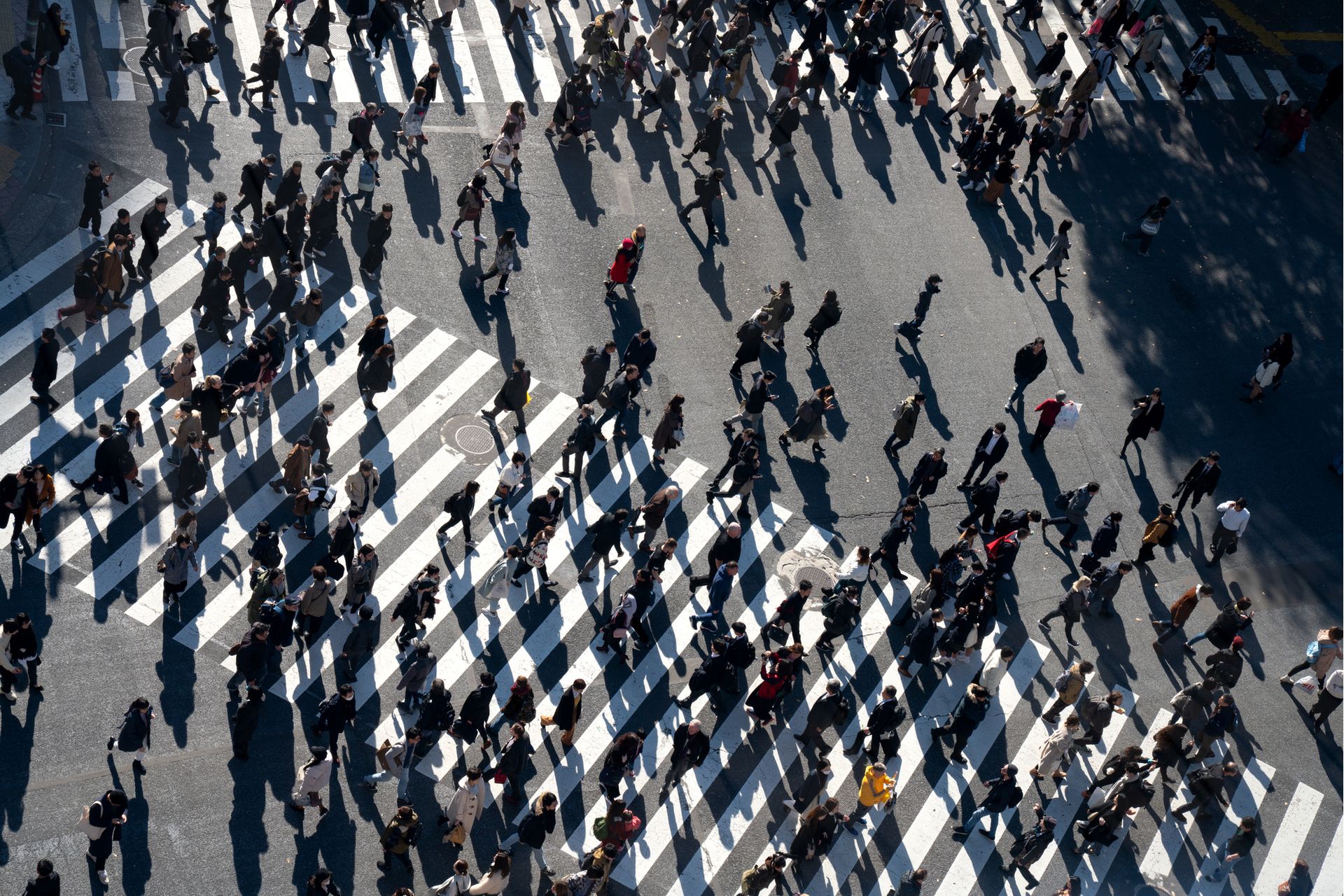 Demografia e Morfologia da População Urbana