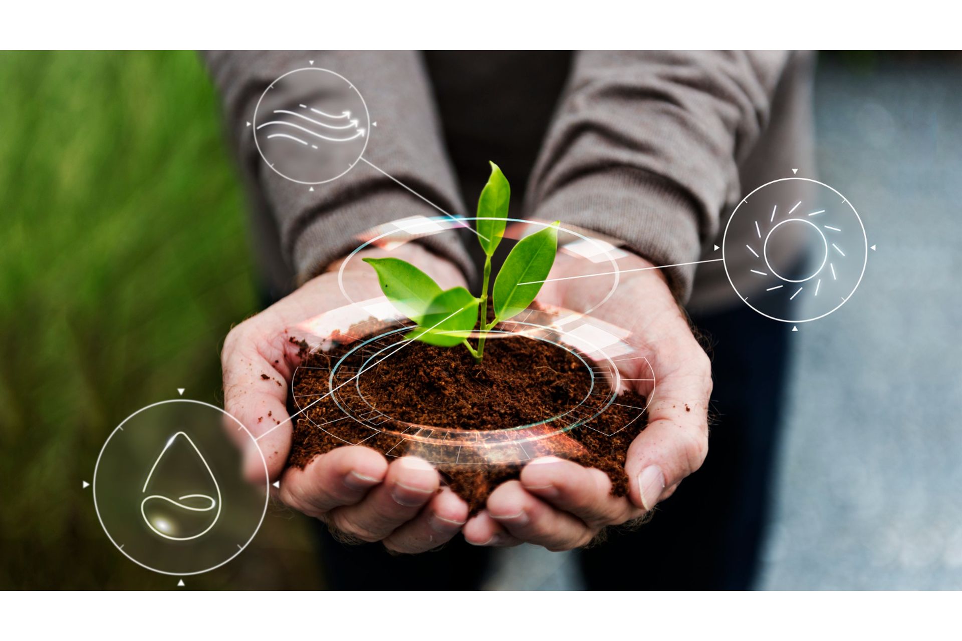 Impacto da Sustentabilidade na Agricultura