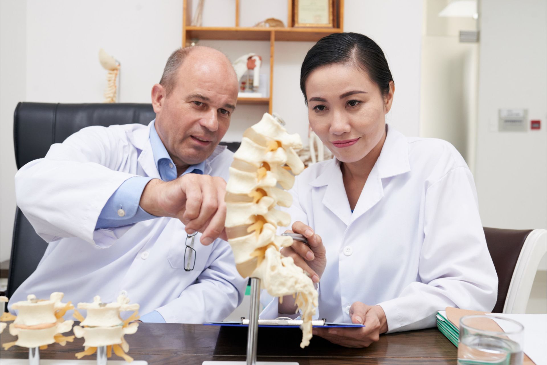 Papel da Nutrição na Sarcopenia e Osteoporose