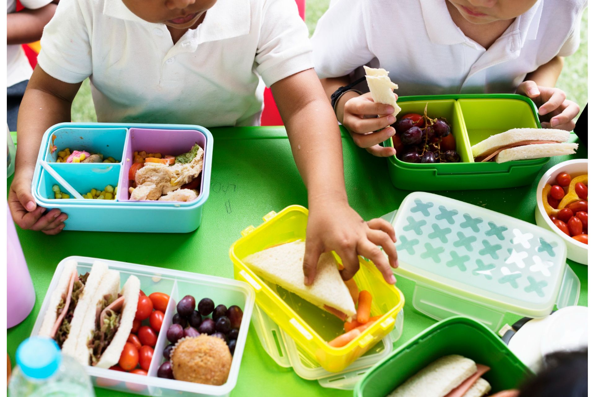 Educação Alimentar nas Escolas e Unidades de Saúde