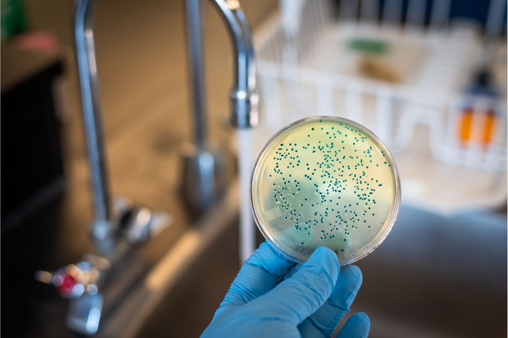 Tipos de Doenças Transmitidas por Protozoários