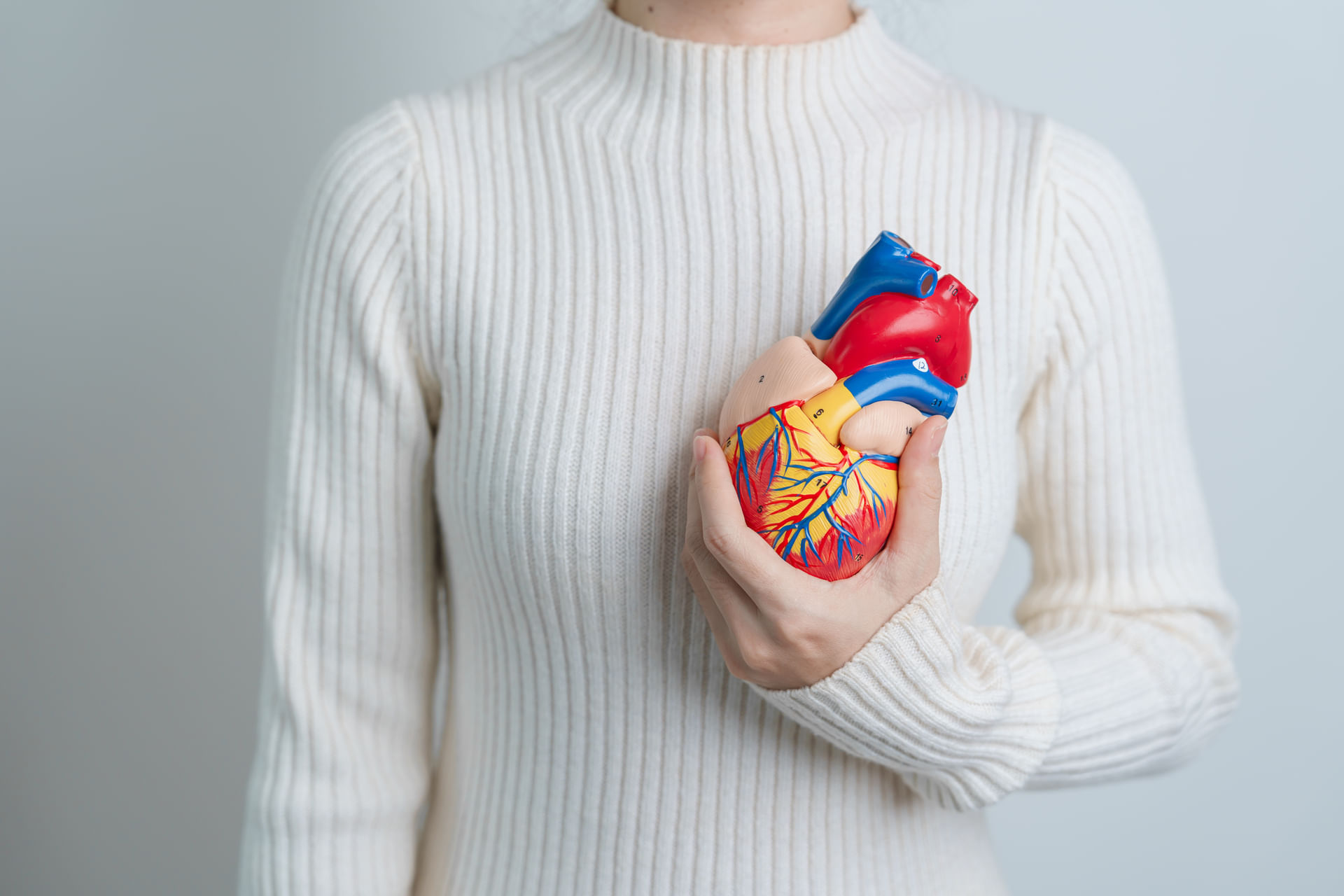 Patologias do Coração: Doenças Cardiovasculares