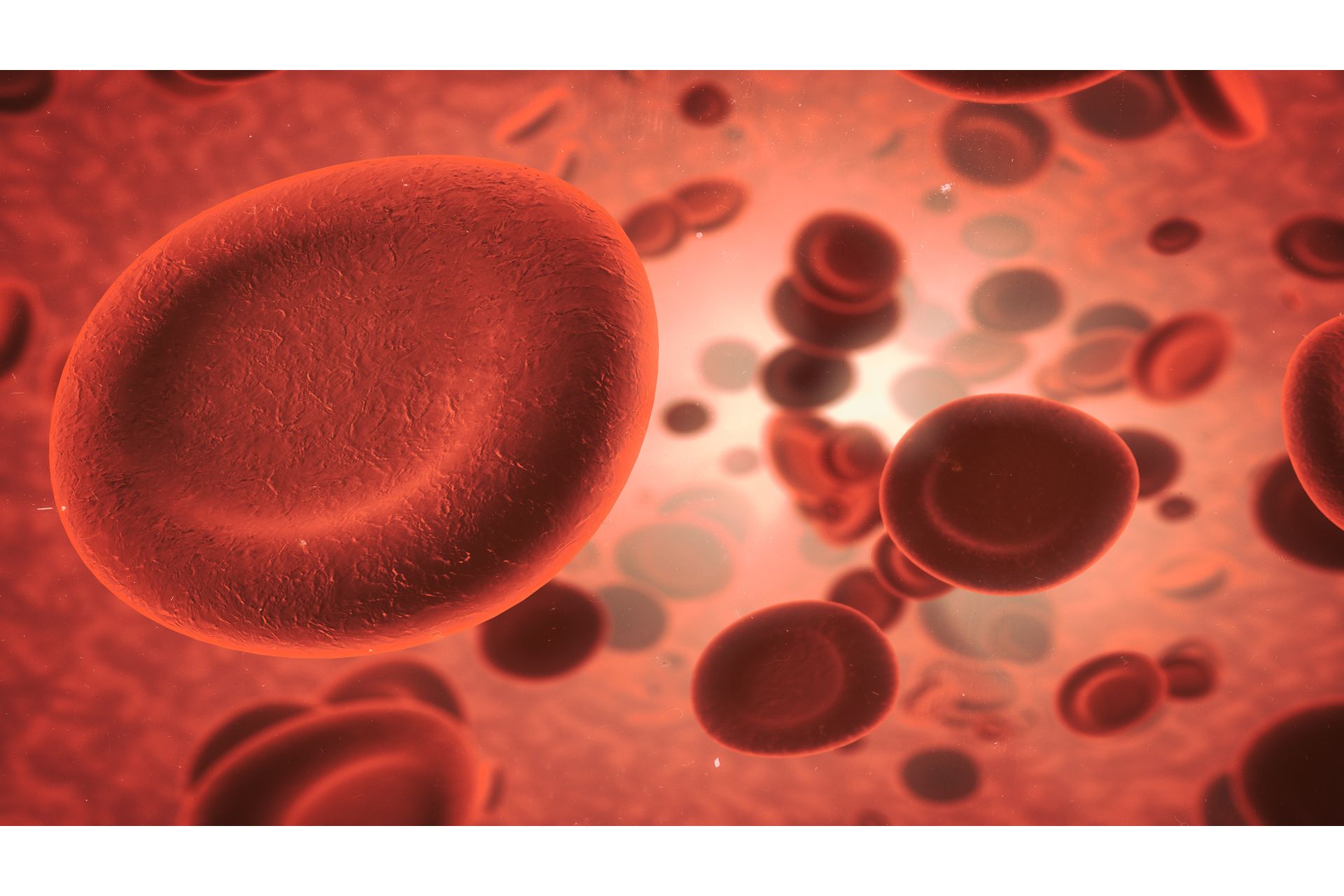 Estrutura Sanguínea: Eritrócitos e Hemoglobina
