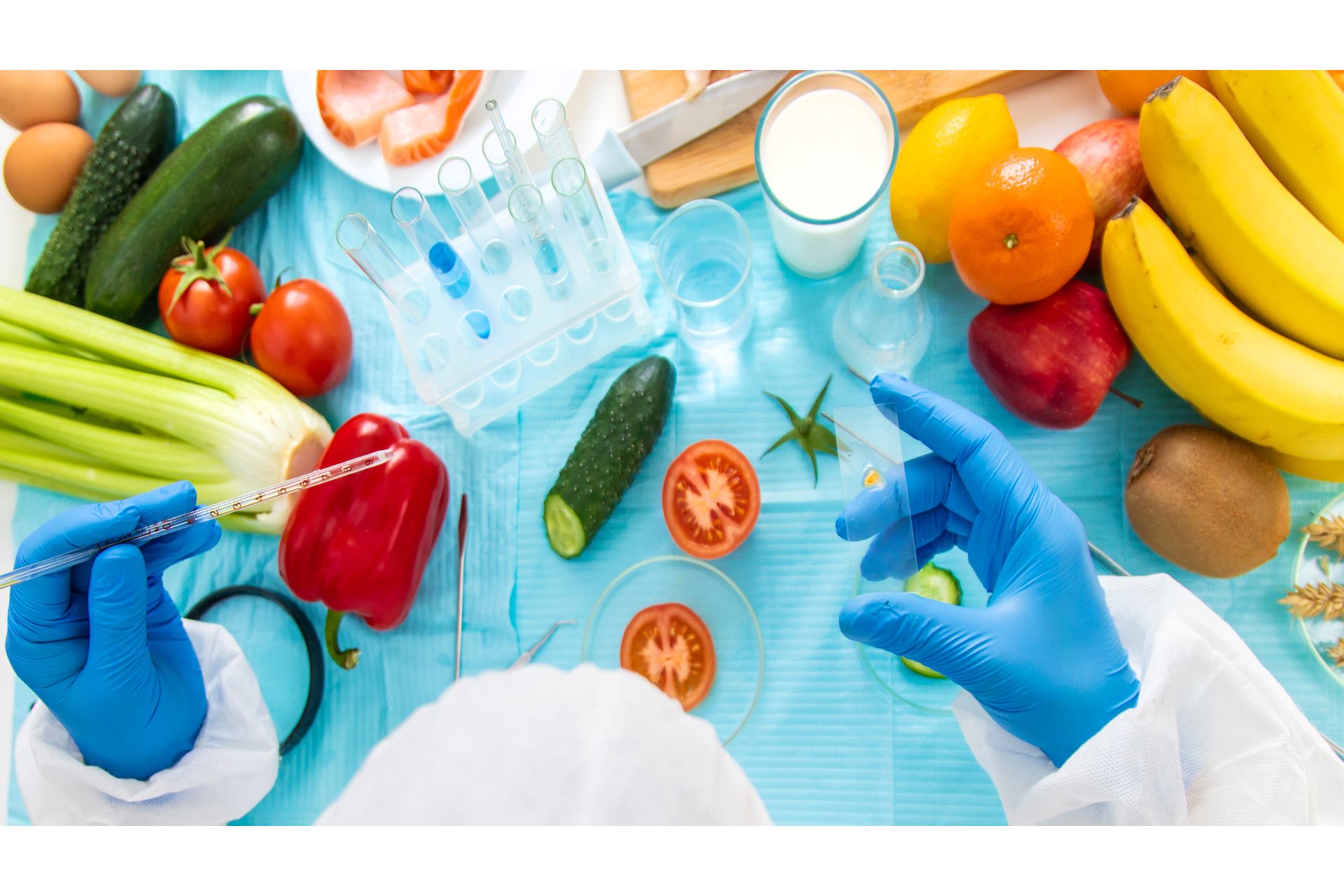 Controle de Qualidade em Alimentos