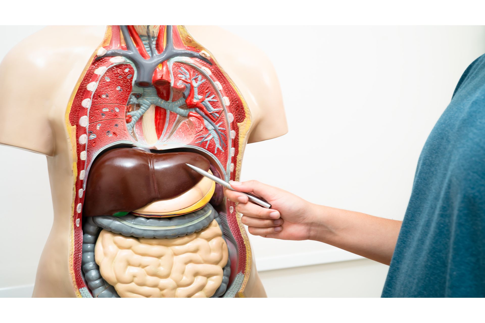 Distúrbios Pulmonares e Gastrointestinais