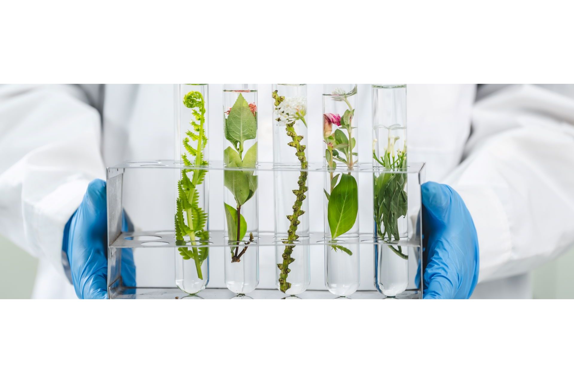 researcher-working-in-laboratory-for-medicals-scie-2025-03-24-19-46-14-utc